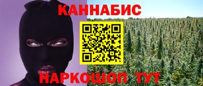 сатива Донецк